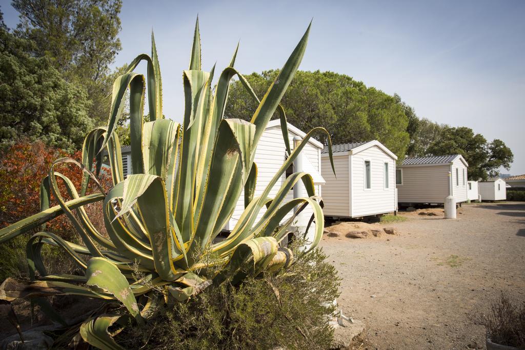 Village Le Kangourou By Popinns Frejus